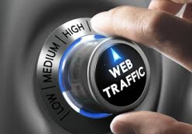 8000 REAL HUMAN TRAFFIC REACH YOUR WEBSITE WITH LOW BOUNCE