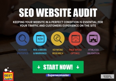 Professional SEO Website Audit and write an action plan
