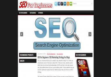 SEO For Beginners Niche Blog Script