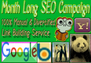 Month Long SEO Campaign