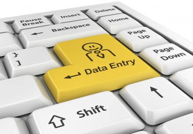 Do Any kind of data entry work for 3 Hour