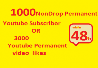 Fast Youtube promotion,  long lasting results,  expert service