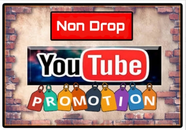You tube Marketing Promotion with Non Drop and Guaranteed