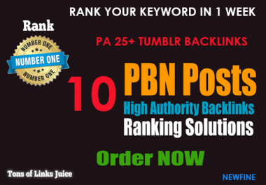10 PBN Backlinks - Rank within 1 week.