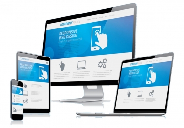 will design a Professional WordPress site for you.