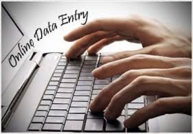 Do any type of Data Entry