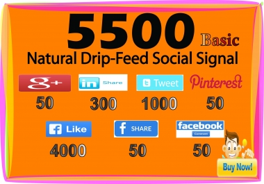 5500 SEO Drip Feed Social Signal from PR-9& PR-10 sites