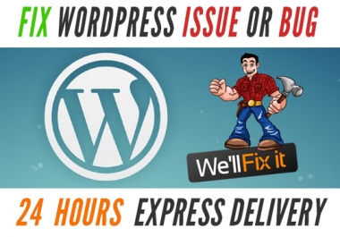 Fix WordPress Issues,  Errors Or Problems