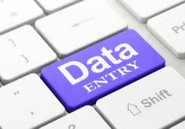 Do Data Entry,  Data Mining,  Typing,  Web Research Or Copy Paste Work