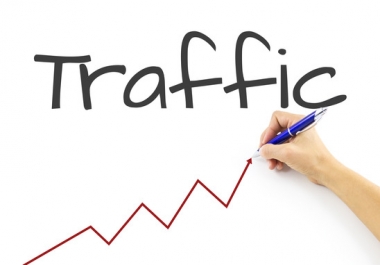 Unlimited TARGETED real human Website TRAFFIC for 1 months 1000 VISITS DAILY for 5