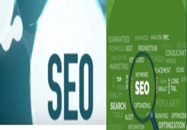 On Page & Off Page SEO