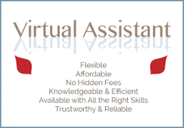 your EFFICIENT Virtual Assistant only 2 hours