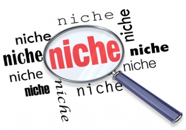 Do 20 Highly professional Niche Research