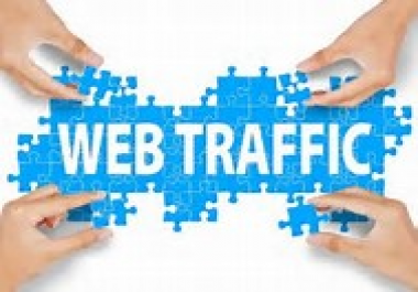 Real, Quality and TARGETTED Niche Based Web TRAFFIC for