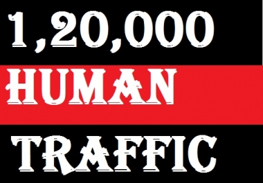 1, 20,000 real Website TRAFFIC for 4 months