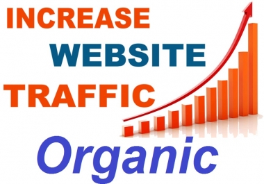 Special Offer Organic web traffic to Your WebSite 7500 Traffic