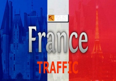 5000 FRANCE Website Traffic Visitors