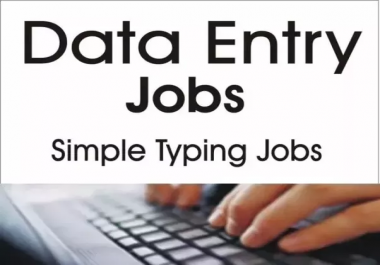 Will Do Data Entry Job