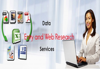 Do any kind of Data Entry and Web Research for you within 24 hours