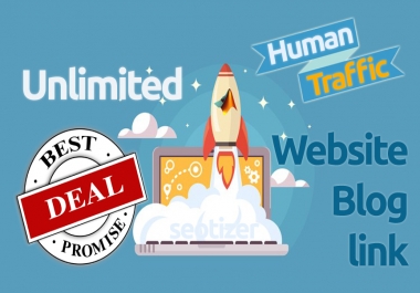 Unlimited Real Human Traffic on Website Upto 30 Days