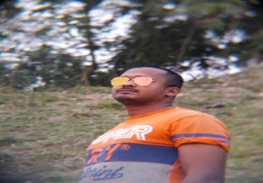 Create over 600 LINKS pointing to your website and ping them all for 21