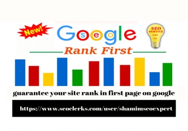 We Provide SEO And Guarantee Your Site Rank In First Page On Google