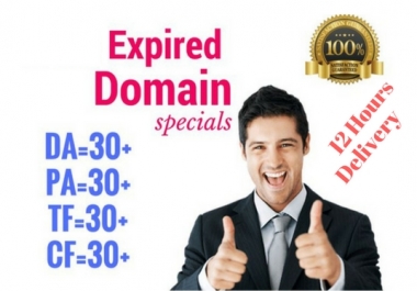 High metrics Expired Domain Research