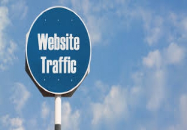 bring real visitors 5,000 targeted web traffic