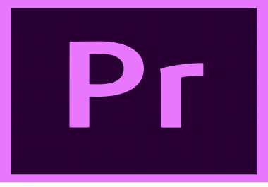 Will Create,  Edit,  convert quality of videos with Adobe Premiere Pro,  any edits,  any effects