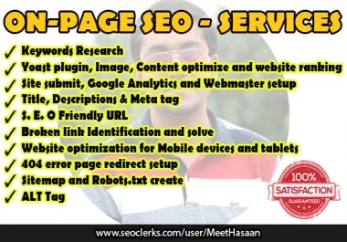 Will Do Best On Page SEO Setup For Your Website