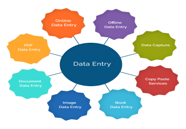 Will complete your data entry work sincerely