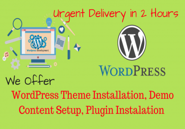 Wordpress Blog,  Theme,  And Plugin Instalation In 2 Hours