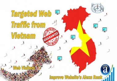 Vietnamese web visitors real targeted Organic web traffic from Vietnam