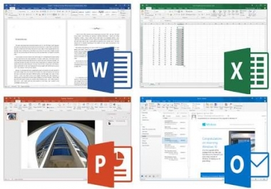 Data Entry Ms office, word, excel and powerpoint expert