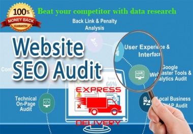 do full seo audit report and competitor analysis within 12 hour