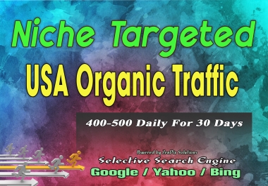 Send USA Niche Targeted Organic Traffic