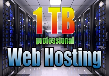 To Provide 1tb Professional cPanel USA Web Hosting + Support