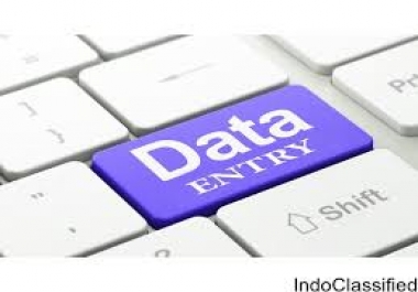 data entry, typing, copy typing, other typing based services for with copy paste