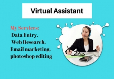 Expert Virtual Assistant