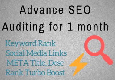 Do advance audit & SEO for 1 month