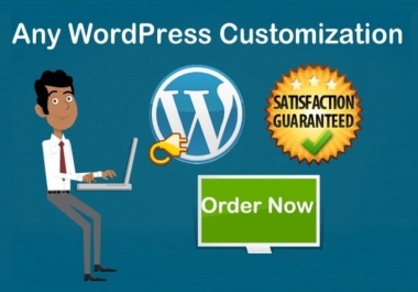 WordPress customization & Fix issue