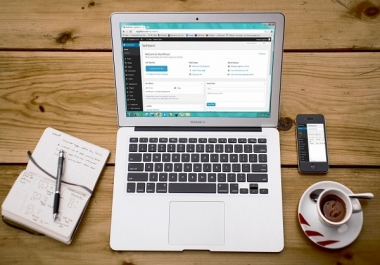 I will do monthly search engine optimization SEO service for wordpress website