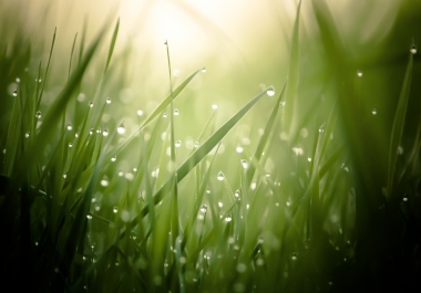 Advertising your website for one full month