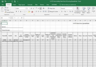 data entry on excel spread sheet