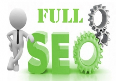 do a full SEO campaign for your website