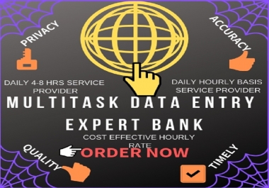 Do Multitask Data Entry Work Daily 8 hours & Per Hour
