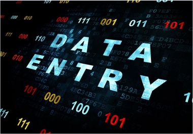 Data Entry Work 500 Entry Service