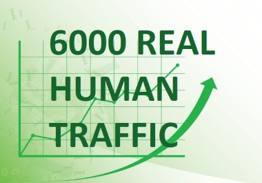 Drive 6000 Real Human Traffic To Website