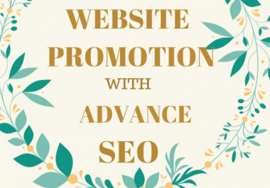 provide advance SEO to your website promotion