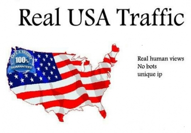 100000+ High Quality USA Human Traffic/Visitors for your website